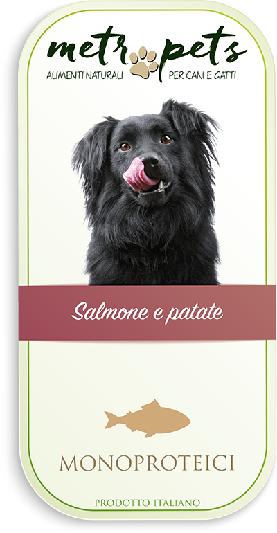 Crocchette cane salmone e patate